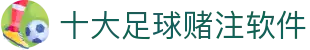 十大足球赌注软件排行榜-十大足球赌注软件的app排行榜